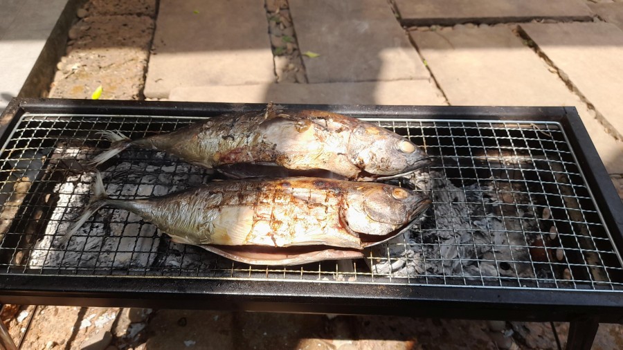 Thailand 2025
              Grill Thunfisch