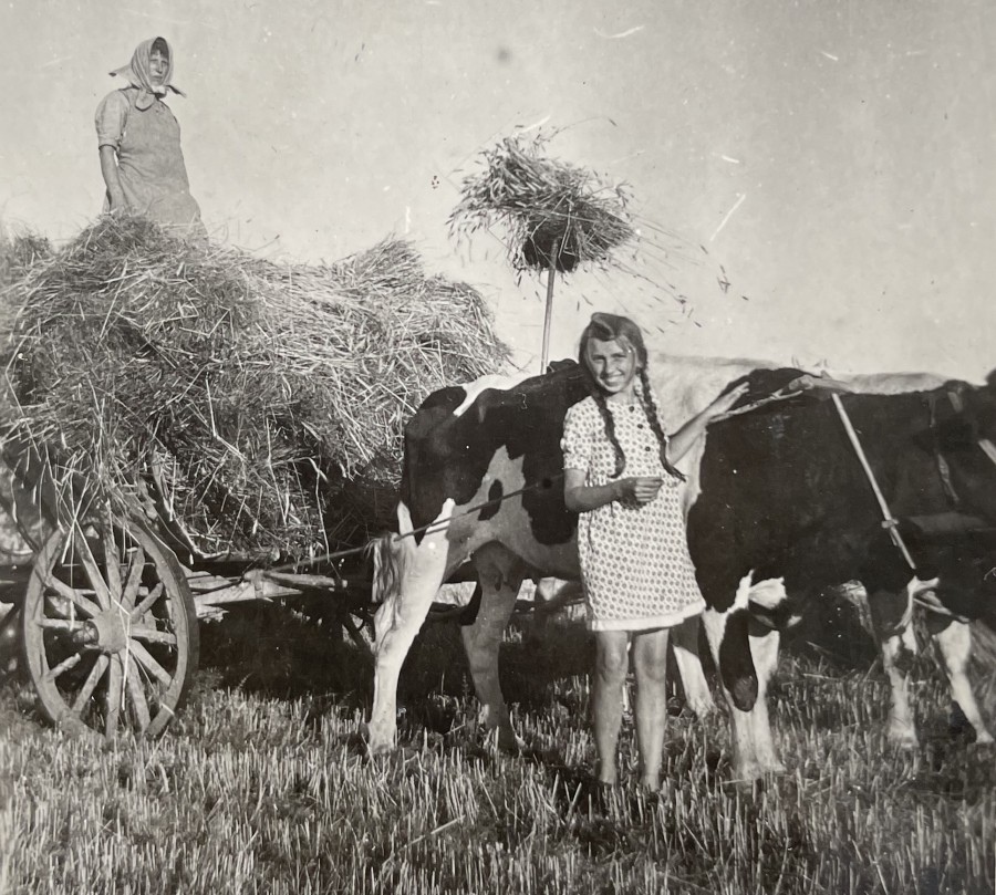 Ursel auf dem
              Feld 1944 in Schlesien Kleinitz