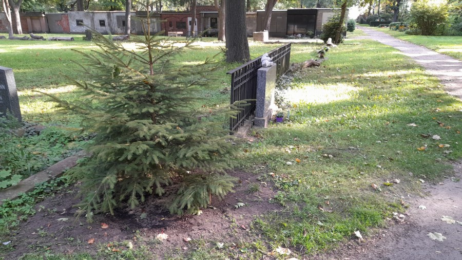 Friedhof
                  Kpenick 01