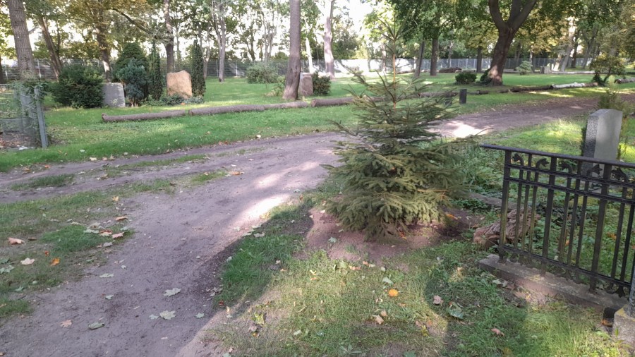 Friedhof
                  Kpenick 02