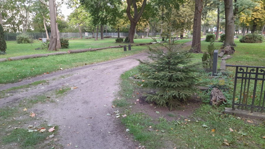 Friedhof
              Kpenick 03